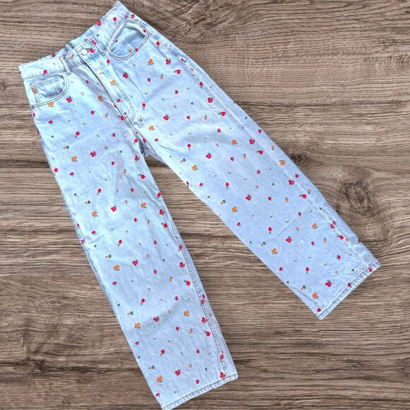 BDG Denim - BDG Urban Outfitters High Rise Loose Baggy Wide Leg Embroidered Denim Jeans 27